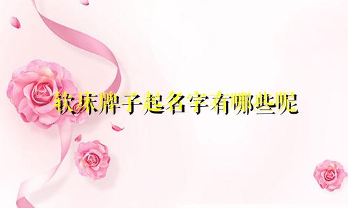 软床牌子起名字有哪些呢