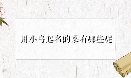 用小鸟起名的菜有哪些呢