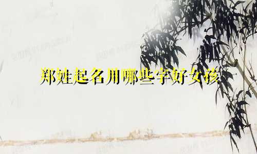 郑姓起名用哪些字好女孩