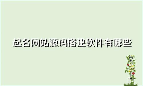 起名网站源码搭建软件有哪些