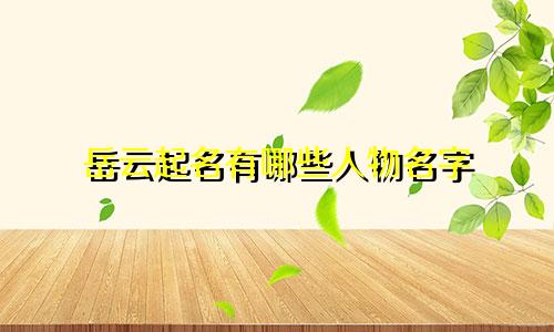 岳云起名有哪些人物名字