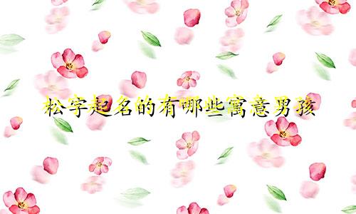 松字起名的有哪些寓意男孩