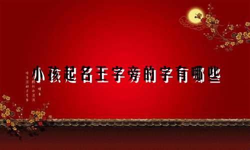 小孩起名王字旁的字有哪些