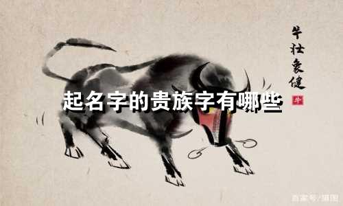 起名字的贵族字有哪些