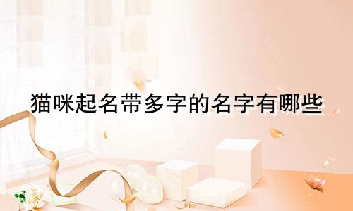 猫咪起名带多字的名字有哪些