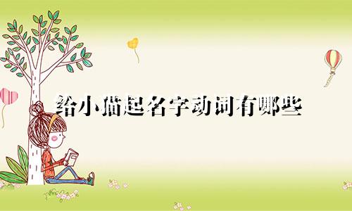 给小猫起名字动词有哪些