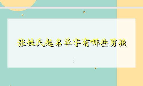 张姓氏起名单字有哪些男孩