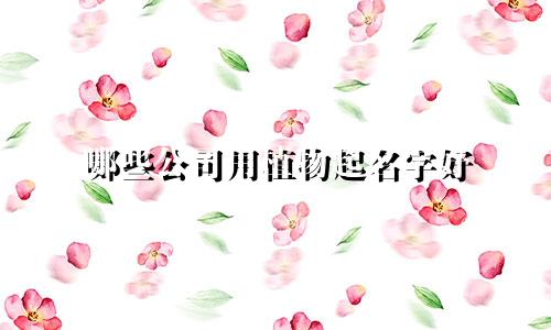 哪些公司用植物起名字好