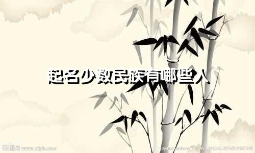 起名少数民族有哪些人