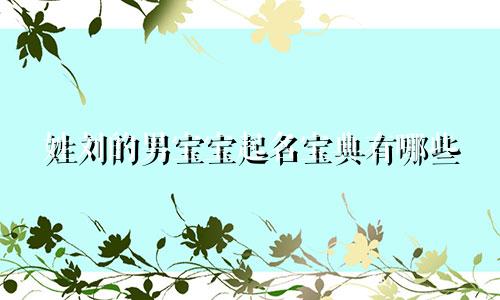 姓刘的男宝宝起名宝典有哪些