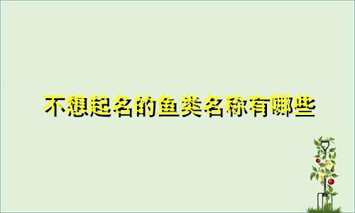 不想起名的鱼类名称有哪些