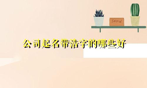 公司起名带浩字的哪些好