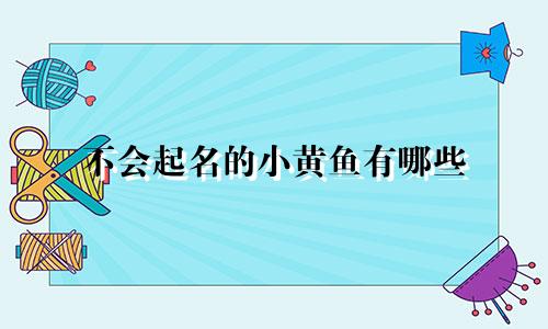给男孩起名姓刘的小名有哪些