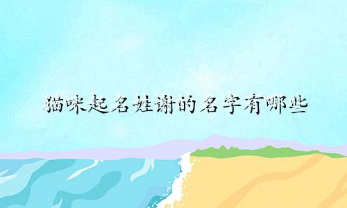 猫咪起名姓谢的名字有哪些