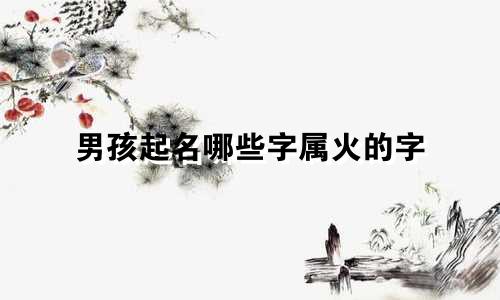 男孩起名哪些字属火的字