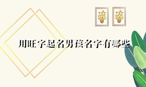 用旺字起名男孩名字有哪些