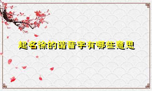 起名徐的谐音字有哪些意思