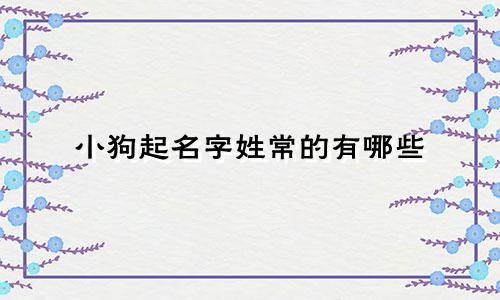 小狗起名字姓常的有哪些