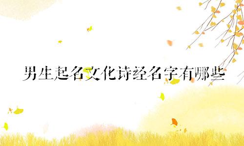 男生起名文化诗经名字有哪些