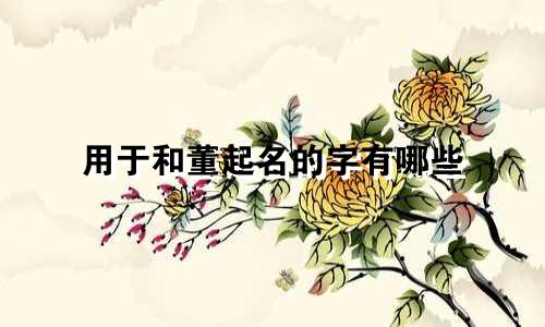用于和董起名的字有哪些