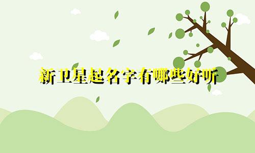 新卫星起名字有哪些好听