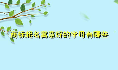 商标起名寓意好的字母有哪些
