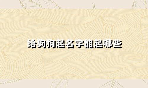 给狗狗起名字能起哪些