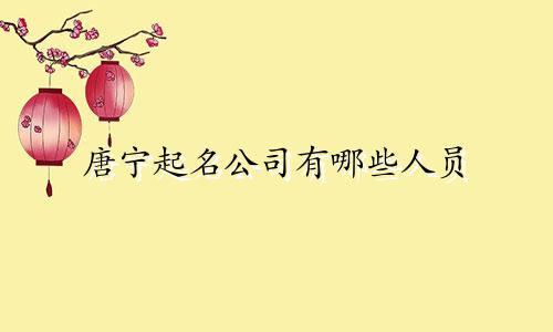 唐宁起名公司有哪些人员