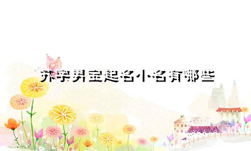 苏字男宝起名小名有哪些