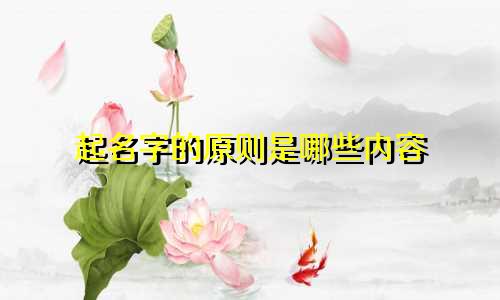 起名字的原则是哪些内容