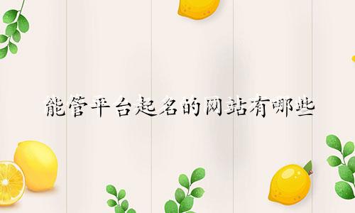 能管平台起名的网站有哪些