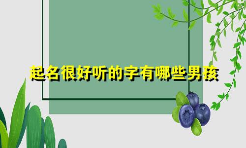 起名很好听的字有哪些男孩