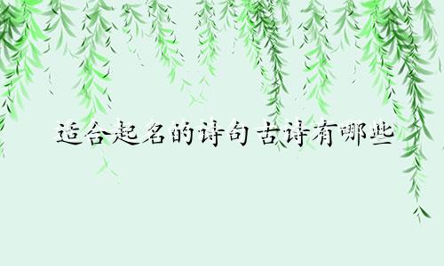 适合起名的诗句古诗有哪些