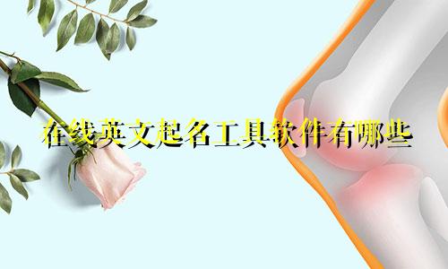 在线英文起名工具软件有哪些