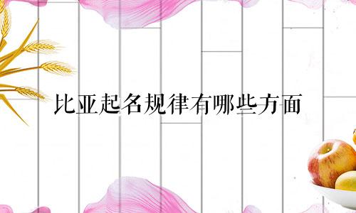 比亚起名规律有哪些方面
