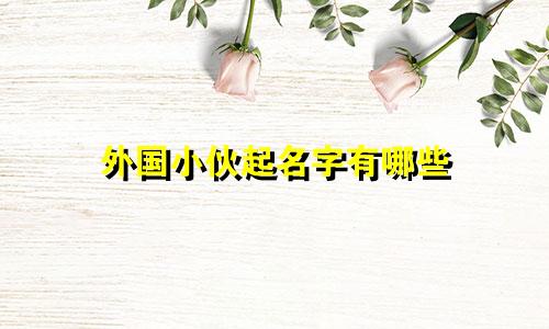 外国小伙起名字有哪些
