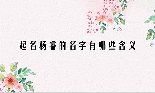 起名杨睿的名字有哪些含义