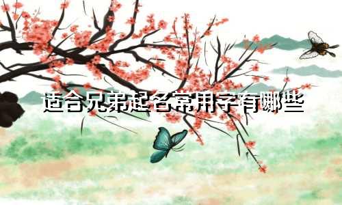 适合兄弟起名常用字有哪些