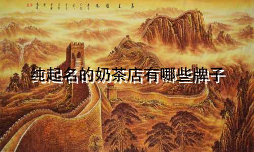 纯起名的奶茶店有哪些牌子