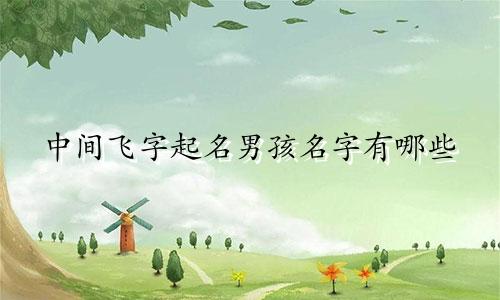 中间飞字起名男孩名字有哪些