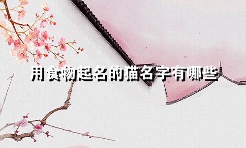 用食物起名的猫名字有哪些