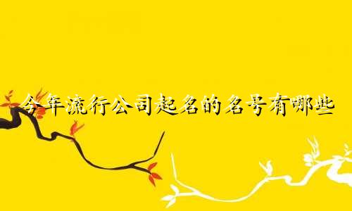 今年流行公司起名的名号有哪些