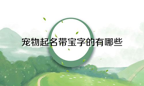 宠物起名带宝字的有哪些