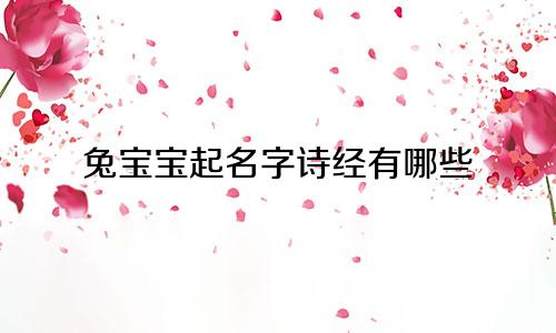 兔宝宝起名字诗经有哪些