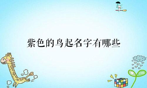 紫色的鸟起名字有哪些