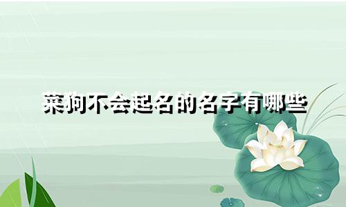 菜狗不会起名的名字有哪些