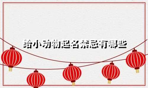 给小动物起名禁忌有哪些