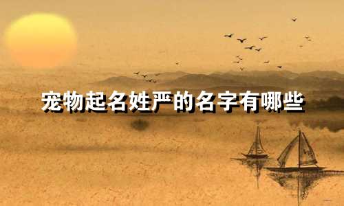 宠物起名姓严的名字有哪些