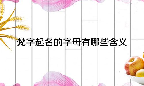 梵字起名的字母有哪些含义