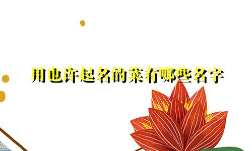 用也许起名的菜有哪些名字